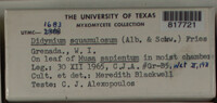 Image Associated With the Occurence
